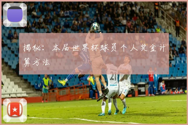 揭秘：本届世界杯球员个人奖金计算方法